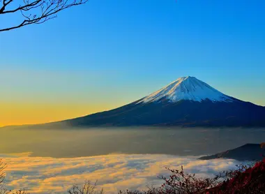fuji