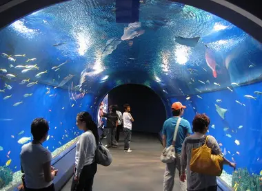 Aquarium d'Osaka