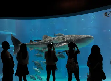 Aquarium d'Osaka