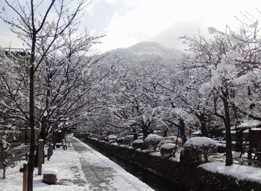 The Philosopher's Path in winter