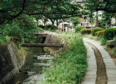 Chemin de la philosophie