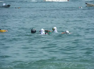 Des plongeuses Ama à Toba