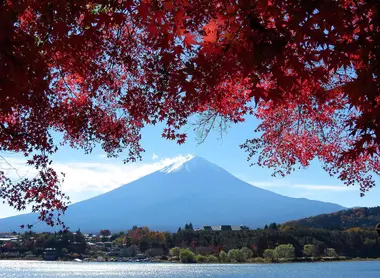 Monte Fuji durante el kōyō