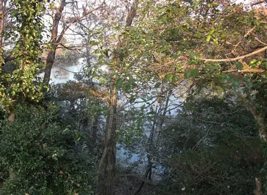 Futatsu_pond_West_pond Futatsu_pond_West_pond
