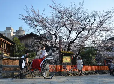 hanami hanami