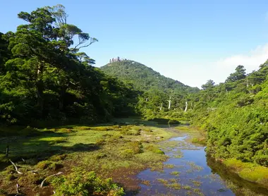 Yakushima