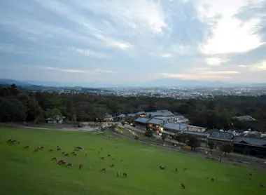 nara nara