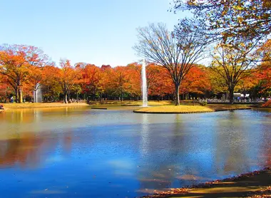 Yoyogi-koen Yoyogi-koen