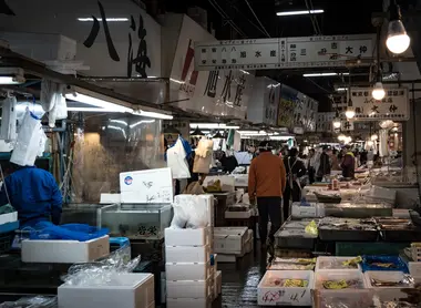 Marché Tsukiji Marché Tsukiji