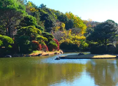 le jardin japonais de Koishikawa Shokubutsuen le jardin japonais de Koishikawa Shokubutsuen