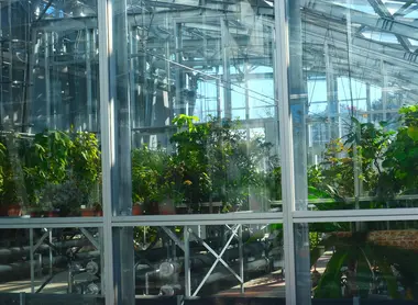 Serre à Koishikawa Shokubutsuen