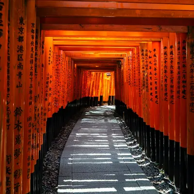 Torii tunnel of Fushimi Inari, Kyoto