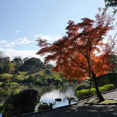 Gardens in Kumamoto