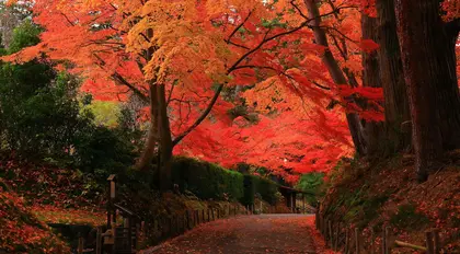 Tohoku Traditional Japan self-guided tour hero image