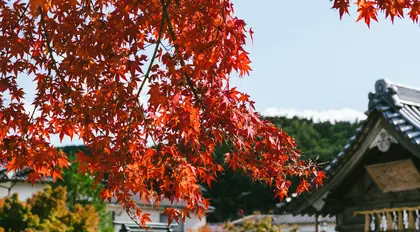 Kyushu The Southern Route self-guided tour hero image