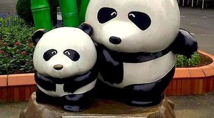 Ueno Zoo | Japan Experience