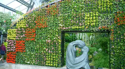 ミュージシャン HERB GARDEN Amazon.co.jp: HERB GARDEN: ミュージック