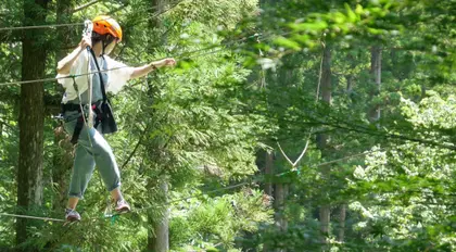 Activity in Japan : Forest high ropes in the Japanese mountains | Japan ...