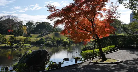 Gardens in Kumamoto
