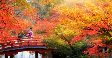 Autumn in Japan