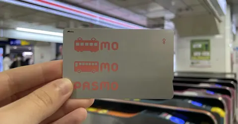 Japanese Pasmo has a pretty design!