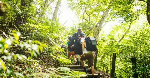 Hiking in Japan