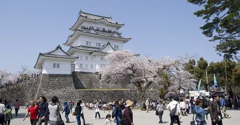 Odawara Castle Odawara Castle