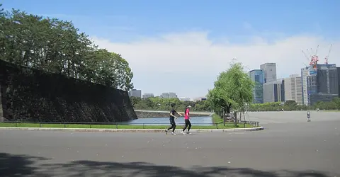 Running at Tokyo Imperial Garden