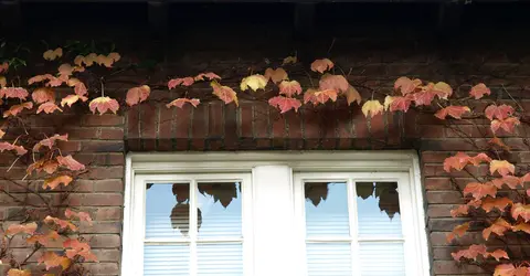 Rikkyo University in autumn, Ikebukuro