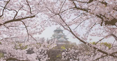 Château de Hirosaki