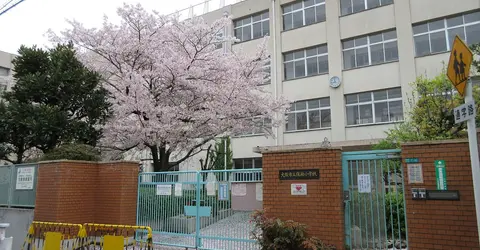 Sakura in front of a school
