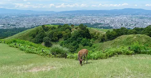 Mount Wakakusa