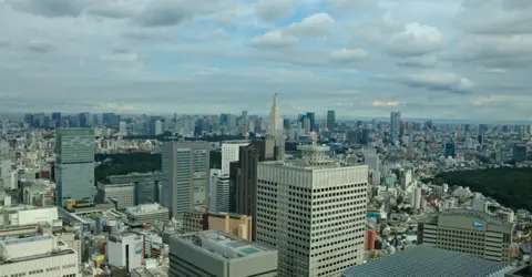 Vue depuis Tokyo Metropolitan Government Building