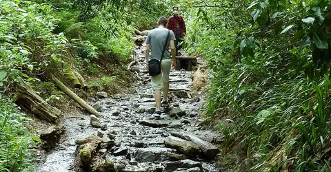 Mount Takao hike
