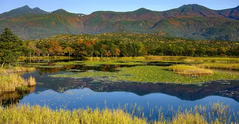 Shiretoko during autumn