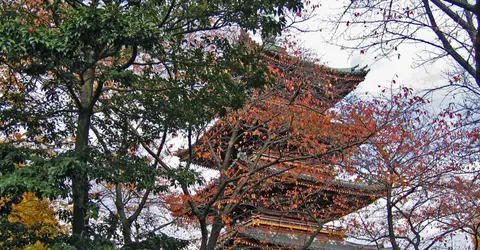 Al lado del Museo Nacional de Tokio, en Ueno, está el templo budista Kanei-ji, que tiene las tumbas de seis shogunes.