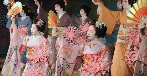 Kamogawaodori is a geisha performances, apprentices and confirmed in Pontocho Kaburenjo theater in Kyoto.