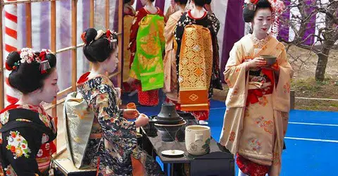 Geishas servant le thé pour le festival Baika Sai. 