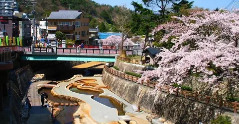 Los cerezos del onsen Arima. Los cerezos del onsen Arima.