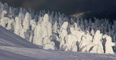 Les Yuki Monsters de Zaô Onsen