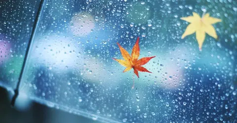 Parapluie Parapluie