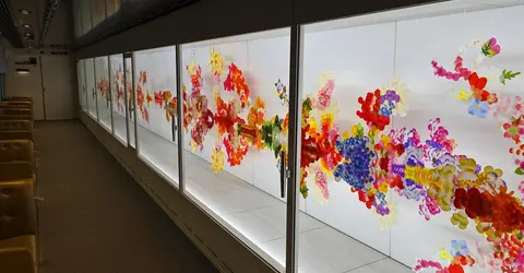 Les fleurs suspendues à l'intérieur du train Genbi Shinkansen Les fleurs suspendues à l'intérieur du train Genbi Shinkansen