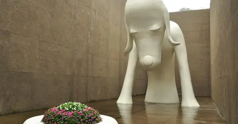 aomori-museum-dog aomori-museum-dog