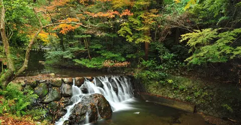 Le parc de Minô est réputé pour ses cascades et ses érables rouges en automne Le parc de Minô est réputé pour ses cascades et ses érables rouges en automne
