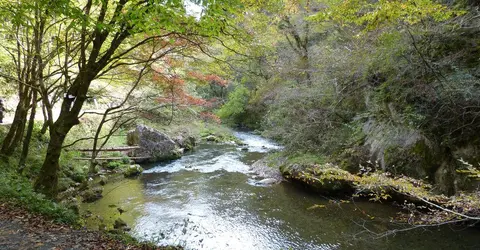 Excursion dans la vallée de Taishaku, préfecture d'Hiroshima