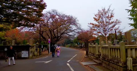 Le cimetière Yanaka en automne Le cimetière Yanaka en automne