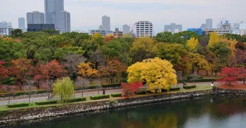 Vue depuis le château d'Osaka