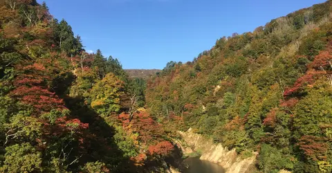 Dans la région du village d'Iida