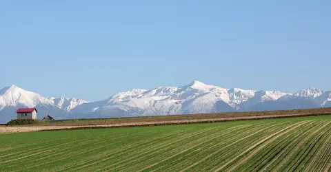 Biei fields in autumn