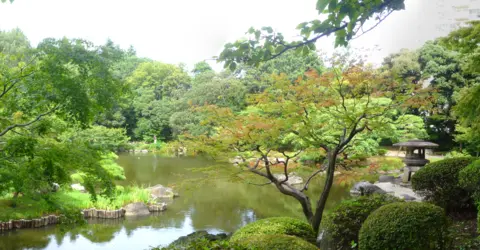 Le jardin Kyu Furukawa Le jardin Kyu Furukawa